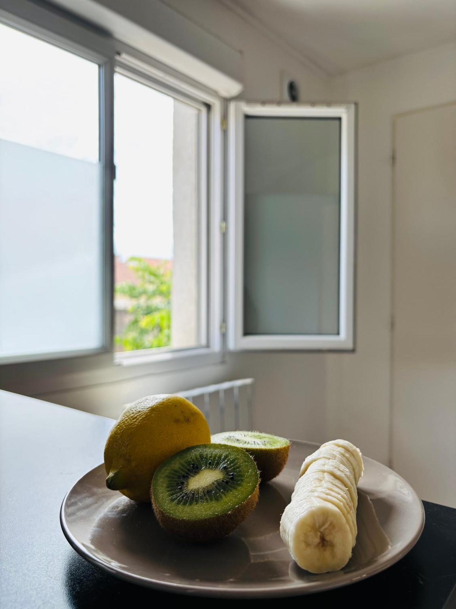 Appartement Avec Terrasse - Goupama Stadium, Eurexpo, Ldlc Arena, La Soie Vaulx-en-Velin Ngoại thất bức ảnh