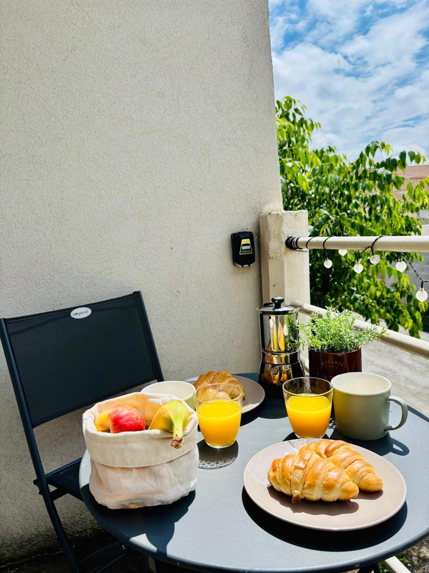 Appartement Avec Terrasse - Goupama Stadium, Eurexpo, Ldlc Arena, La Soie Vaulx-en-Velin Ngoại thất bức ảnh