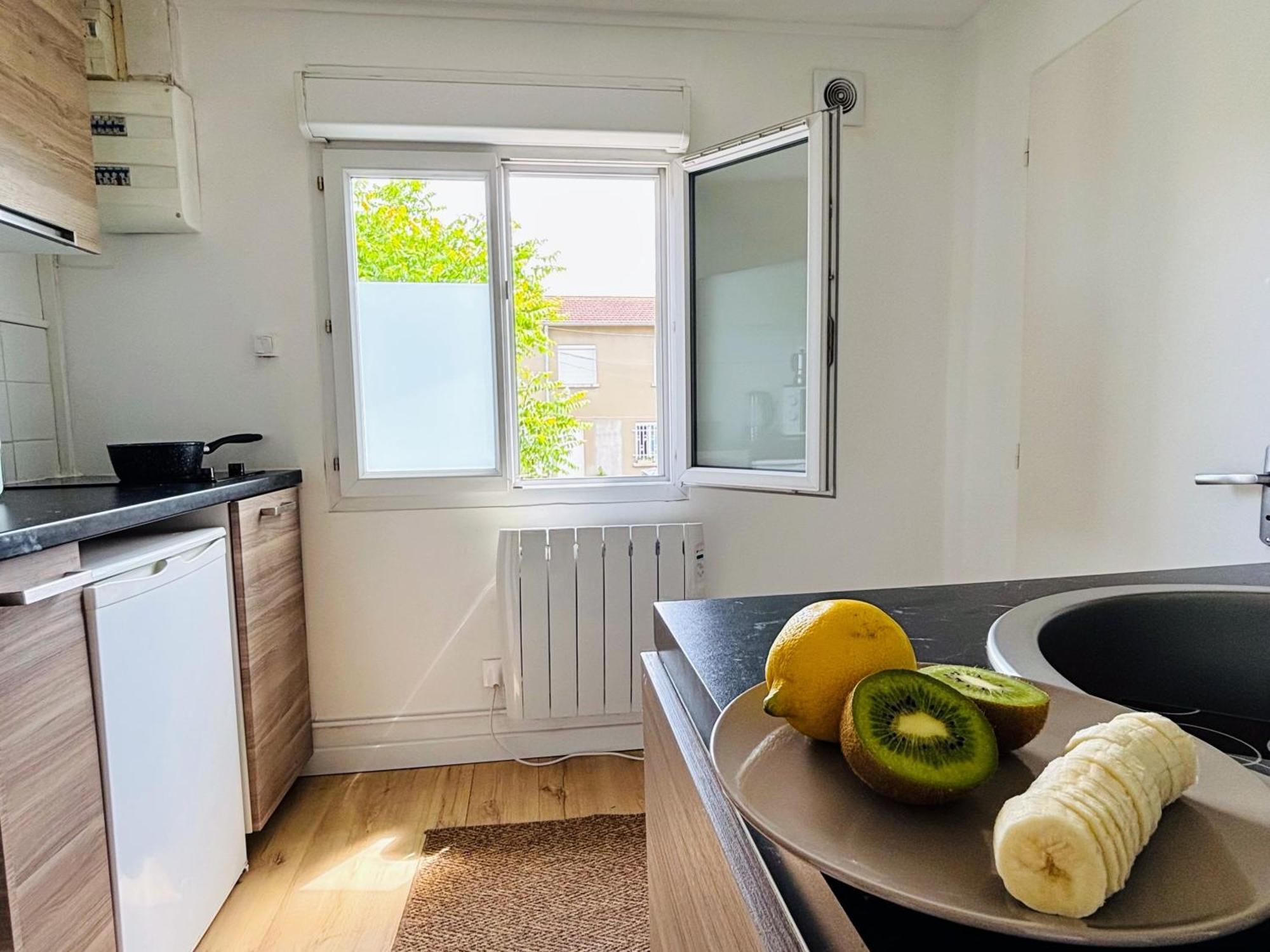 Appartement Avec Terrasse - Goupama Stadium, Eurexpo, Ldlc Arena, La Soie Vaulx-en-Velin Ngoại thất bức ảnh